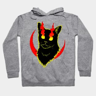 I saw my fate... Hoodie